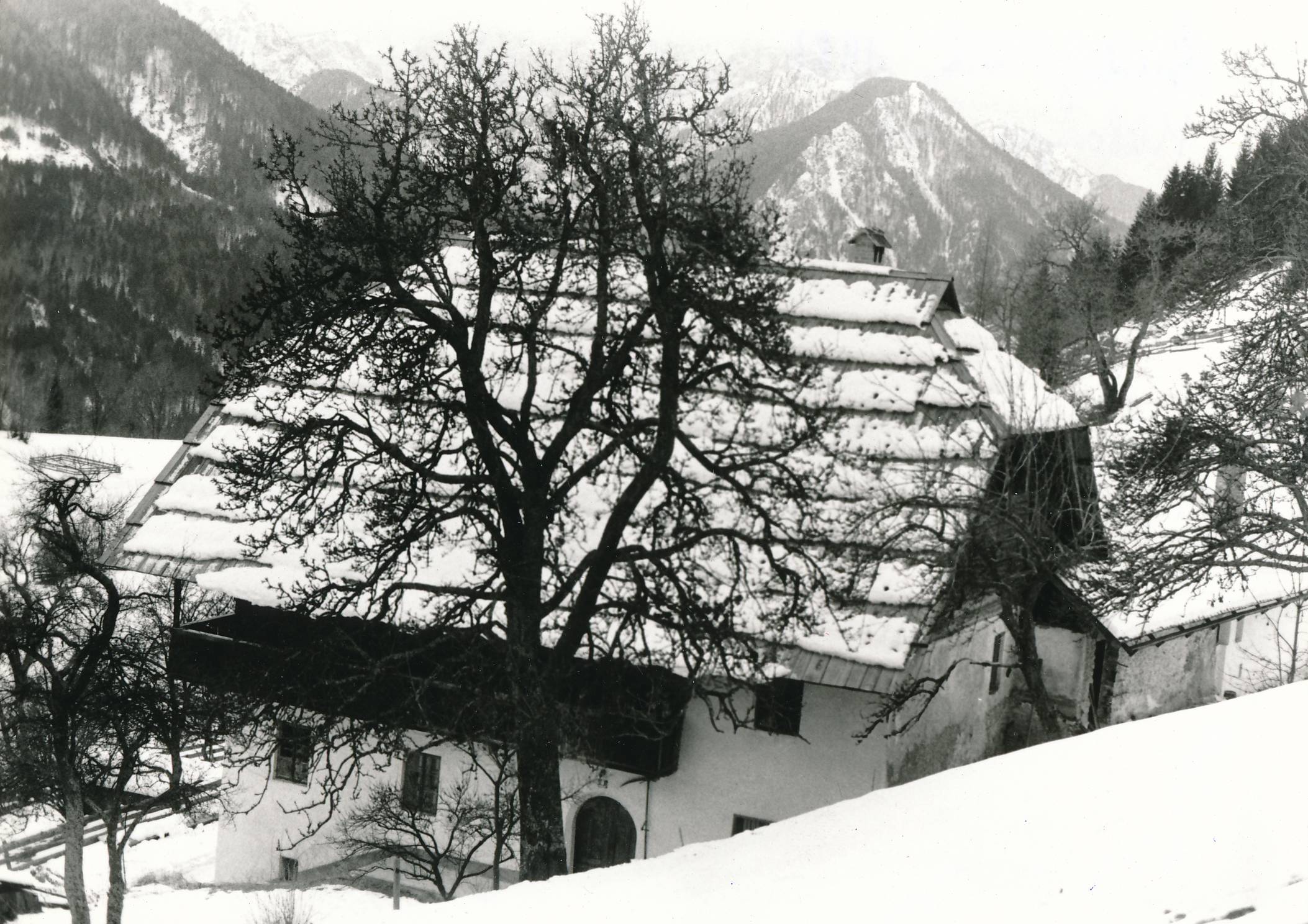 eika image